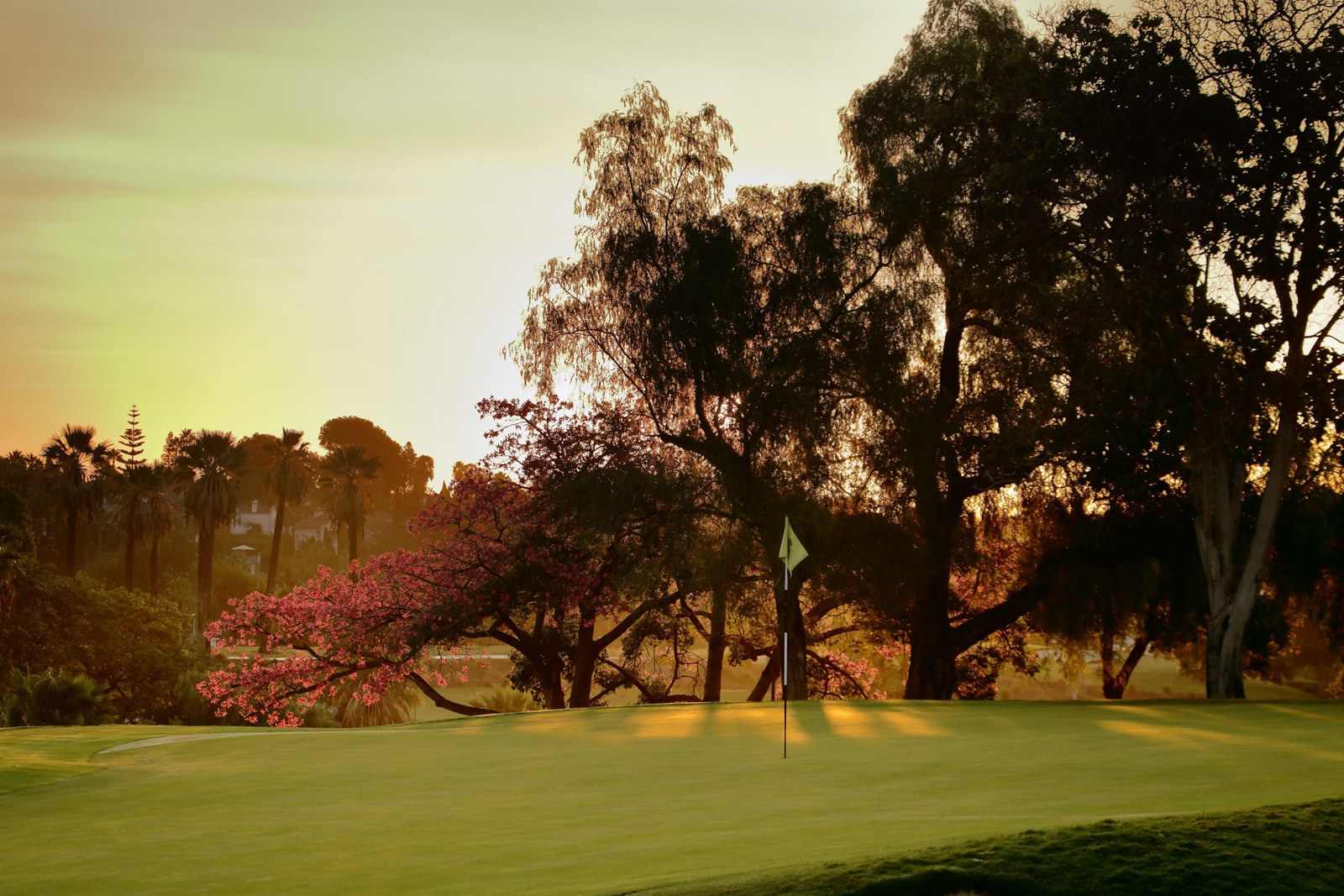 Green rodeado de árboles en flor en Real Club de Golf Las Brisas, Marbella