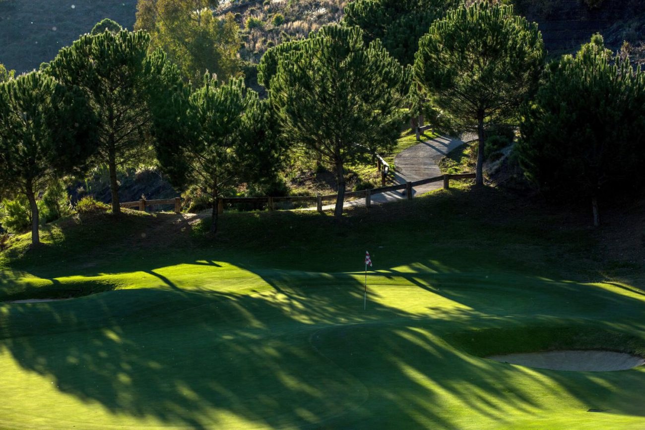 Pine-shadowed green with bunker on the New Course (Los Barrancos) at La Zagaleta
