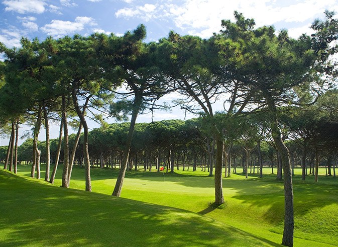 Umbrella pines lining the 1st hole fairway at Golf de Pals, Costa Brava