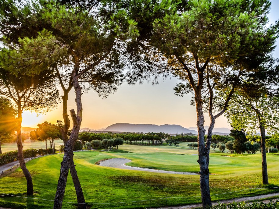 Calle entre pinos al atardecer en El Plantío Golf