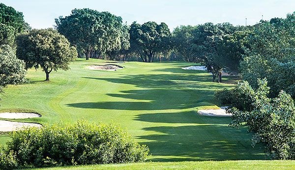 Calle arbolada y bunkers del Recorrido Negro del Club de Campo Villa de Madrid