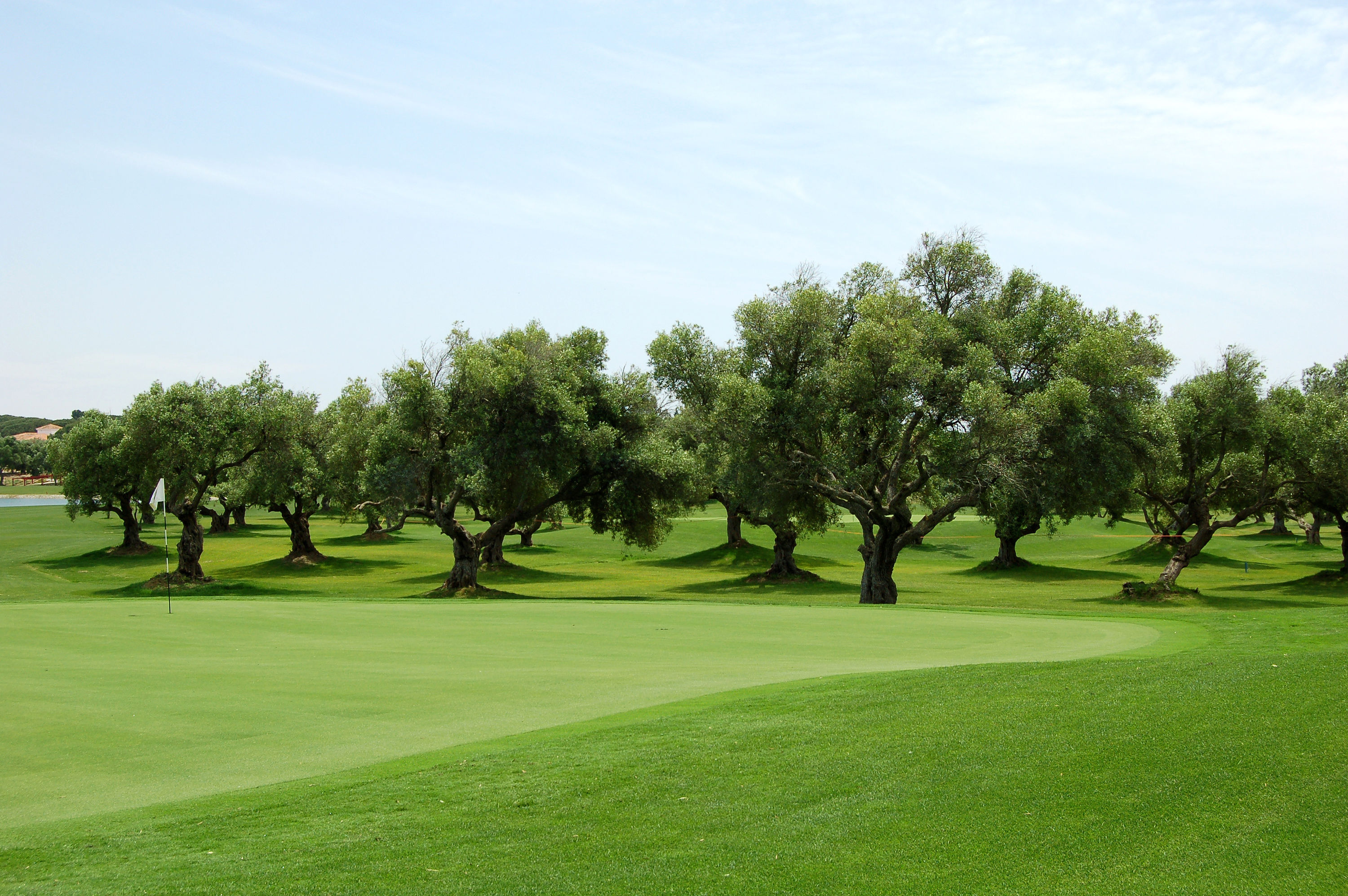 Campo de golf Golf Novo Sancti Petri – Centro en Chiclana, Cádiz