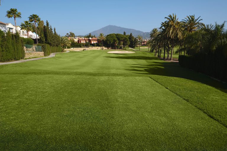 Campo de golf Real Club de Golf Guadalmina – Norte, entorno y paisajes