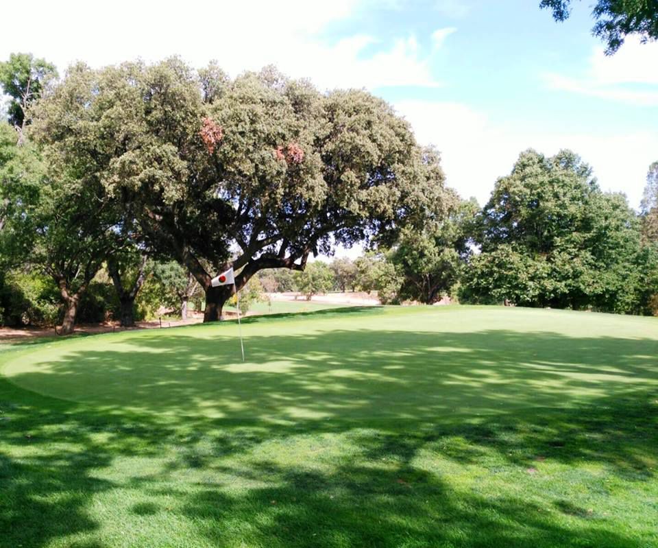 Campo de golf Real Club de la Moraleja – Campo 1 en Alcobendas, Madrid