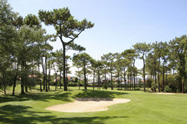 Campo de golf Real Sociedad de Golf de Neguri en Getxo, Bizkaia