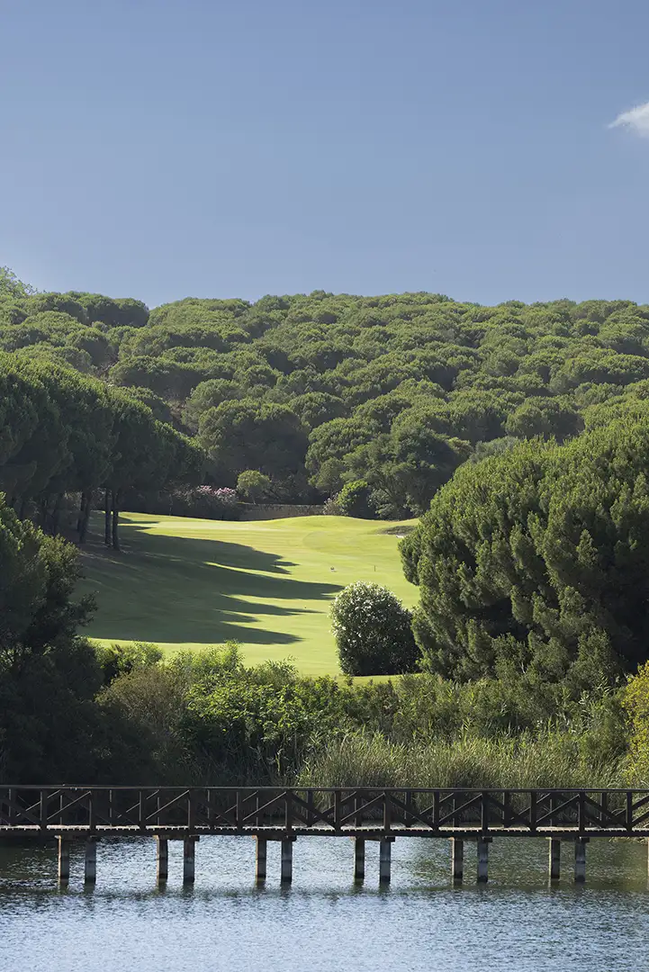 Vista del campo de golf The Alto Club (antes Almenara Golf) en Sotogrande, Cádiz